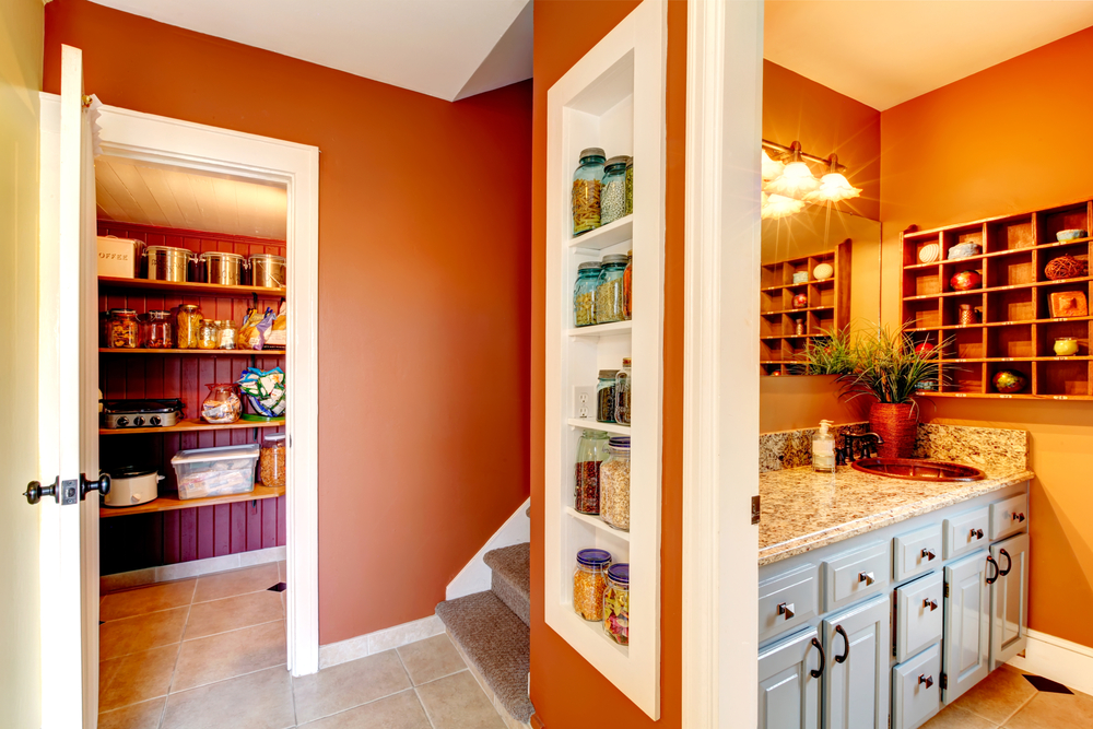 Organized Storage in Basement