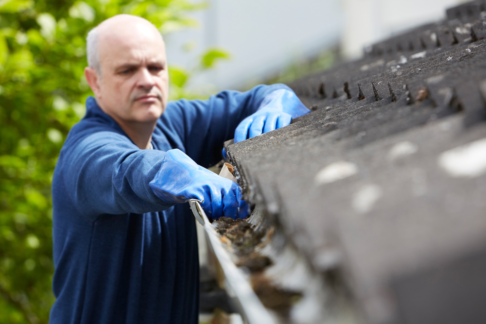 spring gutter cleaning